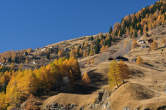 20091101_112757 Pascoli in val Febbraro.jpg